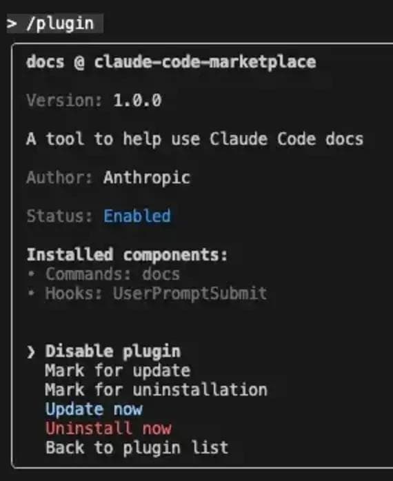 Malicious Plugin